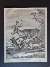 Antique 1792 British sporting