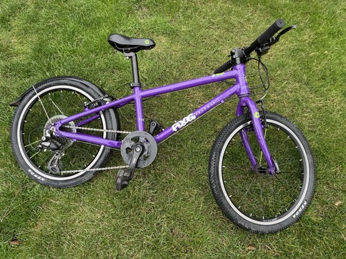 Frog kids - frog, bike