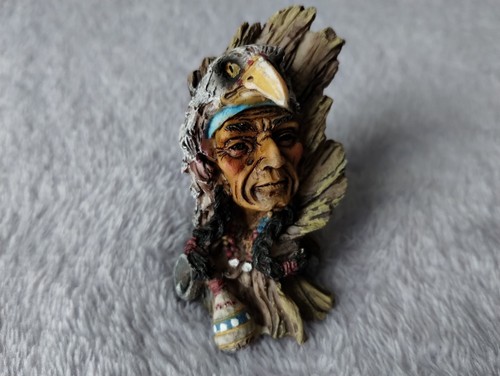 Native american indian - native,