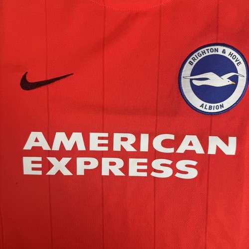 Brighton hove albion - hove,