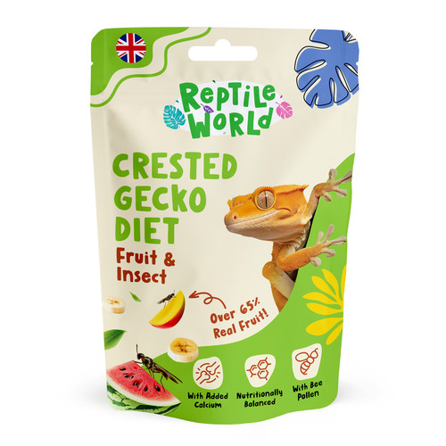 Reptile world crested - reptile, gecko