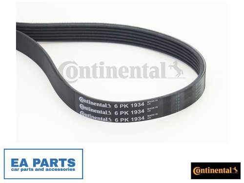 Ribbed belts for - belts,