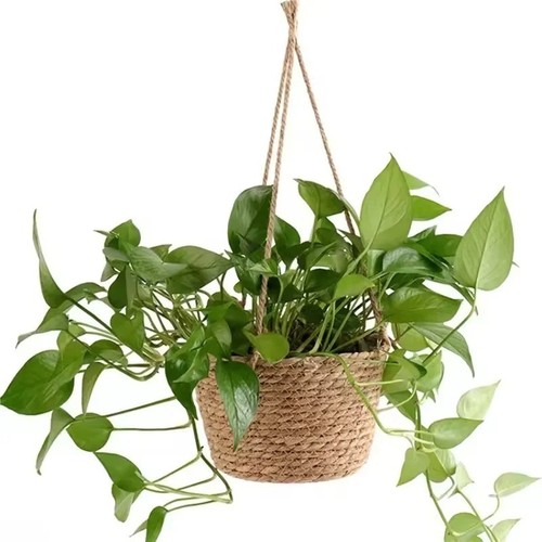 Macrame plant hanger jute rope - hanger,