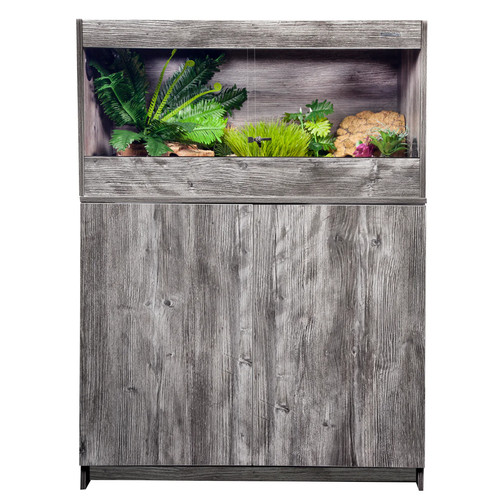 Reptile one s2m 900 - reptile, pine