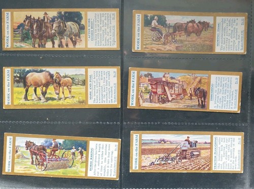 Typhoo tea cards work - work, on