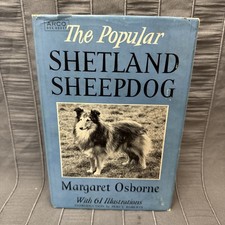 The Popular Shetland Sheepdog