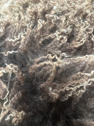 Raw sheep wool black - raw,