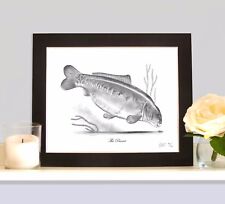 THE PARROT British Record Carp Classic Famous Legends Art Print Picture MOUNTED 