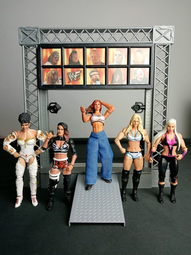 Wwe mattel jakks female - mattel/jakks,