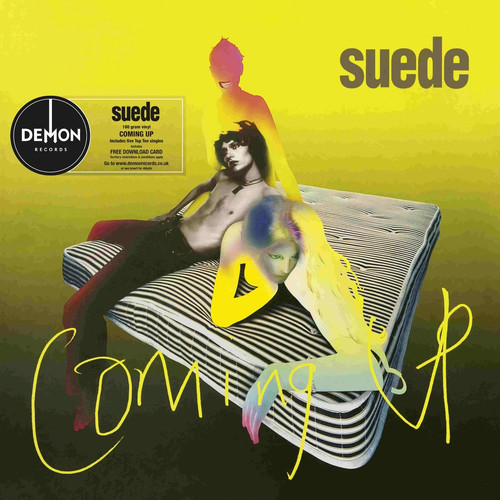 Suede coming 180 - suede, up