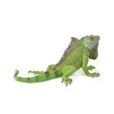 CollectA Iguana