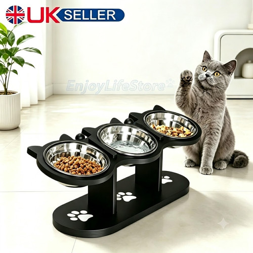 Cat dog food feeding - feeding, stand
