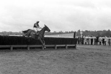 Bighorn, ridden by David Cartwright, heads to victory in the H- 1971 Old Photo