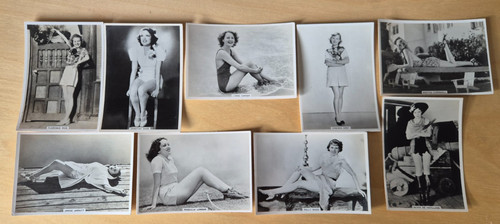 Modern beauties 5th series - beauties,