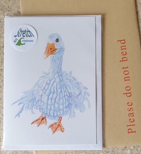 Frizzle sebastopol goose - frizzle,