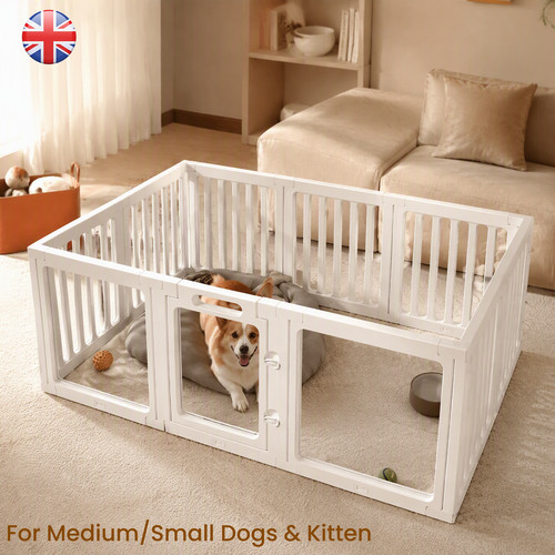 Clear acrylic dog kitten - acrylic, /