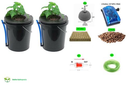 Hydroponics deep water - hydroponics,