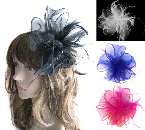 Ladies feather hair wedding - hair,
