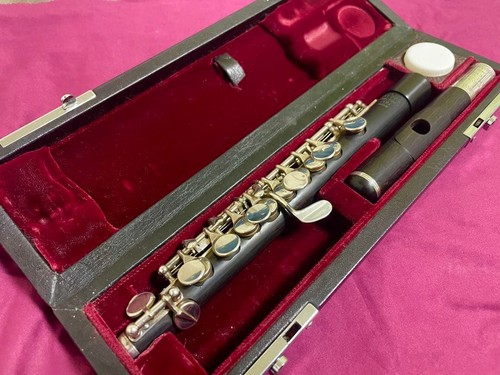 Takezawa piccolo 205 evr japan - takezawa,
