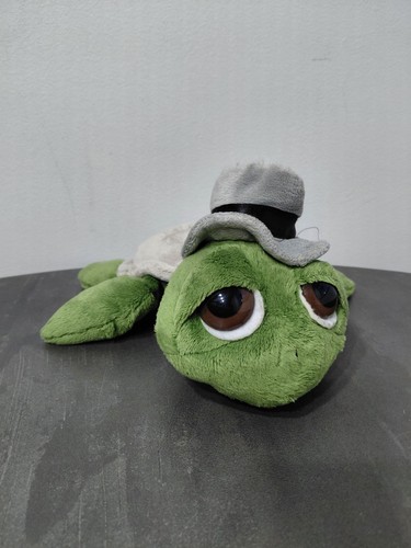 Russ shecky groom turtle - russ,