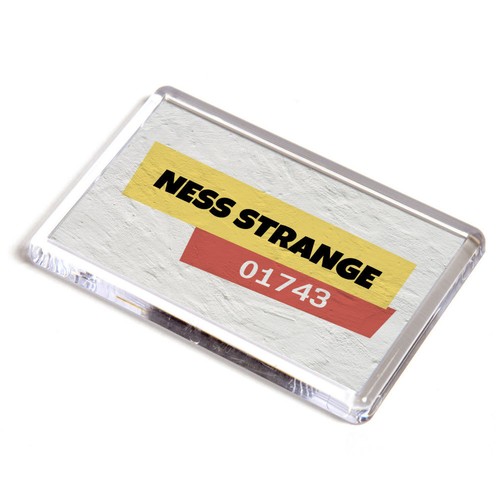 Fridge magnet ness strange - ness,