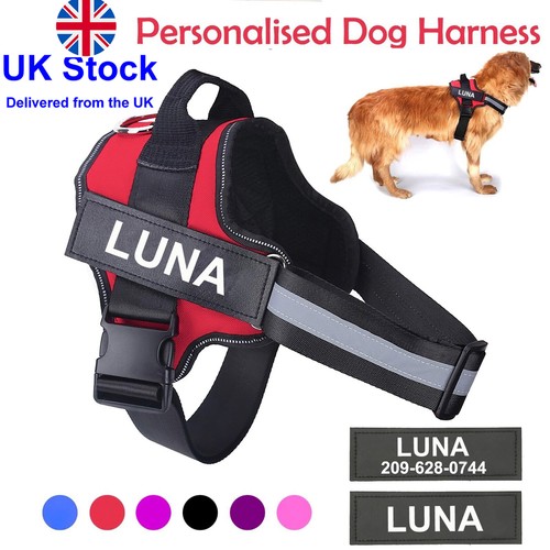 Personalized dog harness - personalized, no