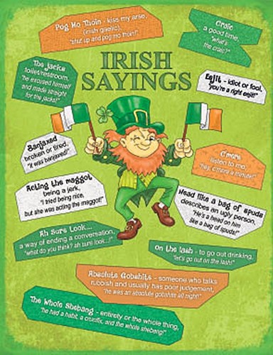 Irish sayings small metal sign - sayings,