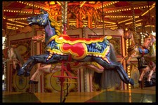 721049 Carousel Horse At The