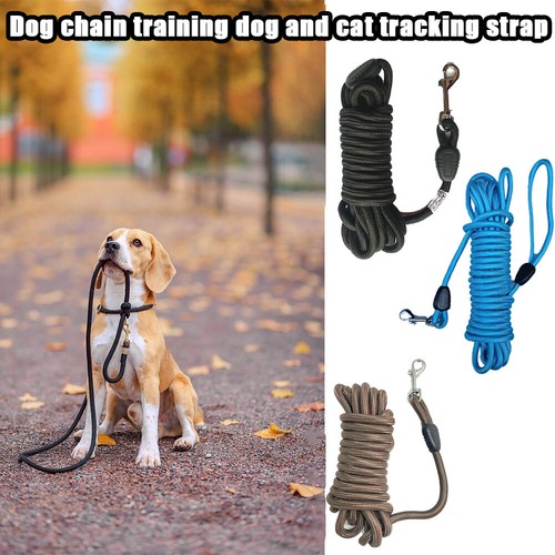 Pet dog training - dog, long