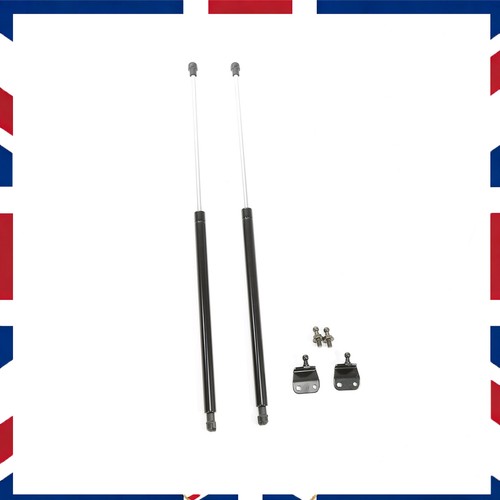 Gas struts 60cm - gas, kit