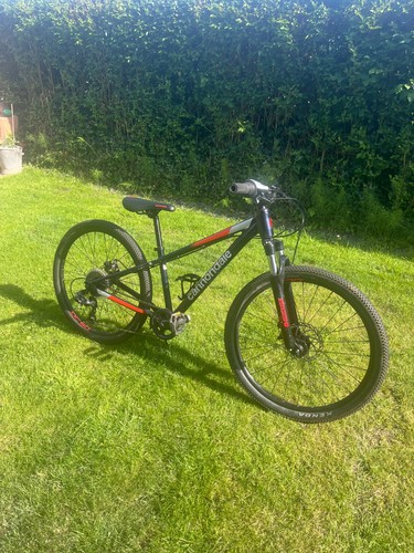 Cannondale trail mountainbike - trail,