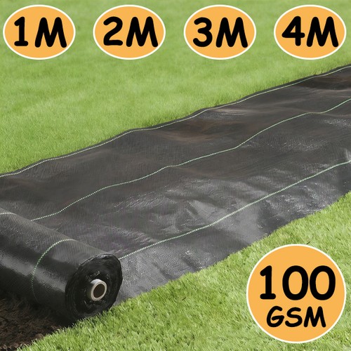 Anti weed membrane - weed,