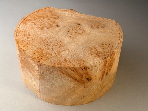 Amazing burr elm - elm, turning