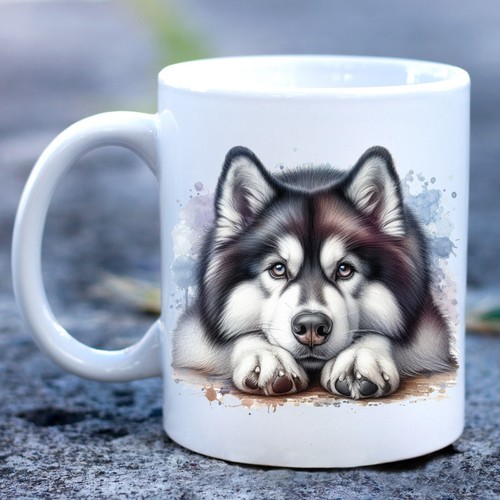 Siberian husky dog - husky,