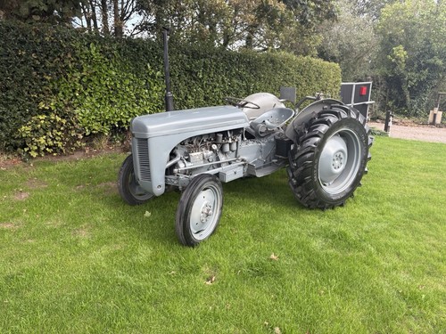 Grey ferguson tef - grey,