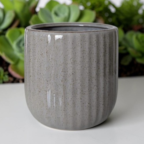 Est vie speckled gray - la,