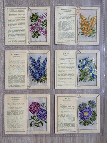 Complete set kensitas wix - kensitas,