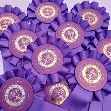Horse rosettes pony - 10, club