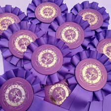 Horse Rosettes x 10 Pony Club x10 Rosettes FREE POSTAGE priced to clear!!