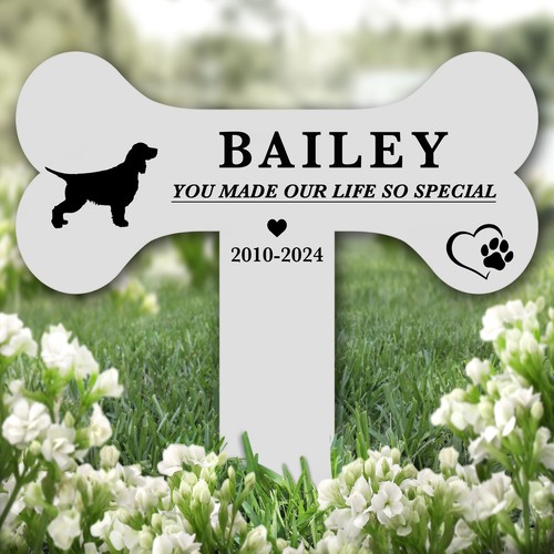 Bone english springer spaniel - bone,