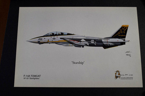 Aviation art 14a - , tomcat