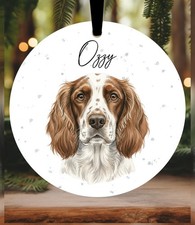 Springer Spaniel Christmas
