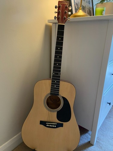 Eastwood acoustic guitar