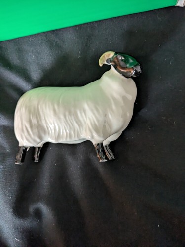 John berwick sheep - john,