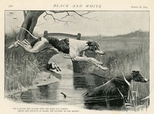 GREYHOUND DOG ANTIQUE VINTAGE