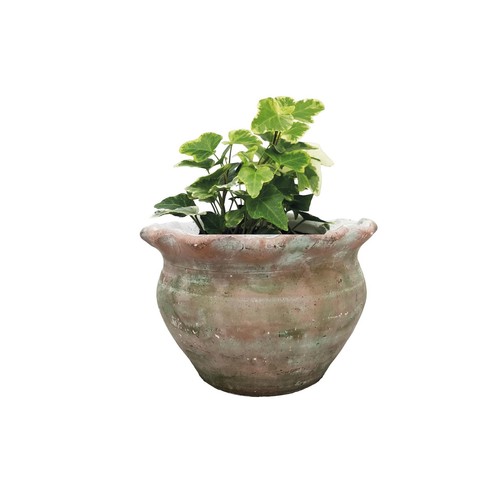 Terracotta plant pot rustic - terracotta,