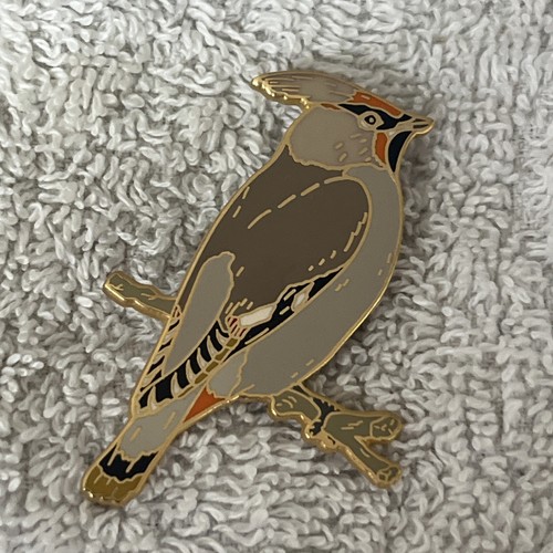 Lanius bird waxwing pin - waxwing,