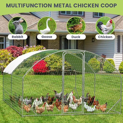 3mx4m walk chicken - walk,