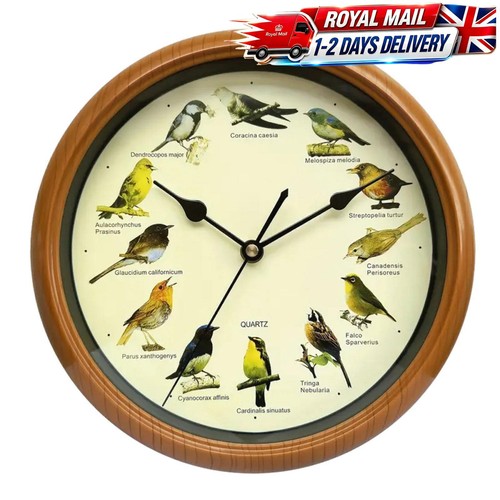 Singing bird wall - singing,