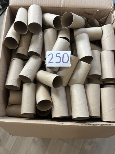 250 empty toilet roll - 250,